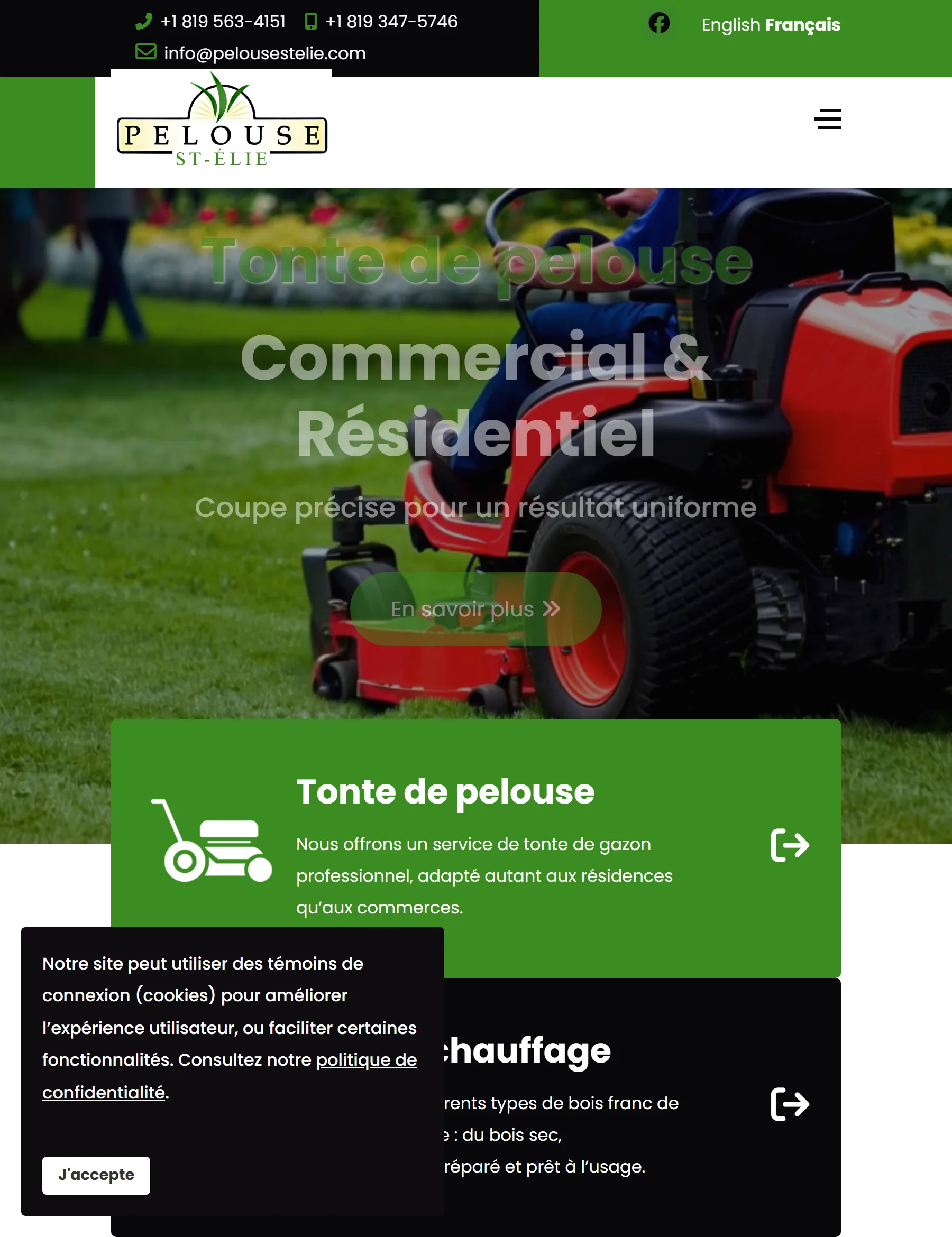 Aperçu du site Pelouse St-Élie